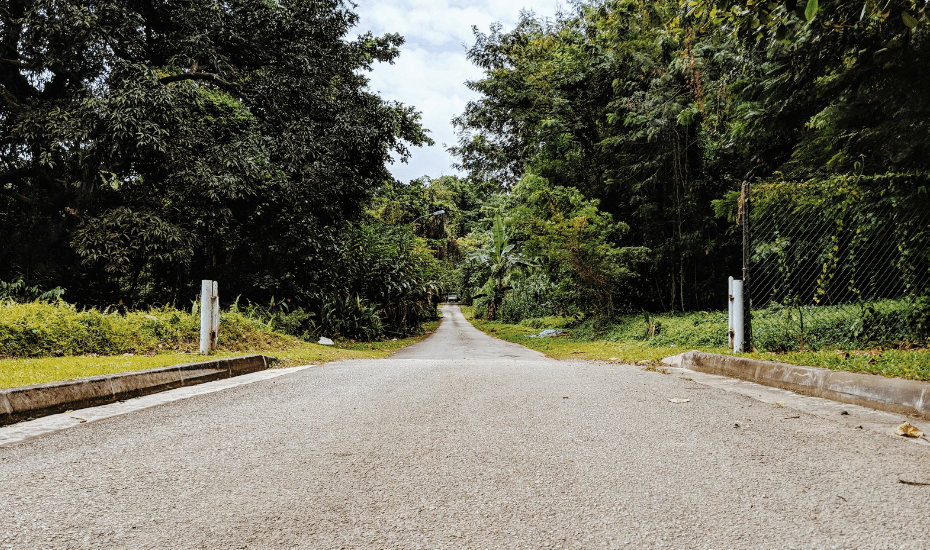 Follow our hike to the abandoned Keppel Hill Reservoir