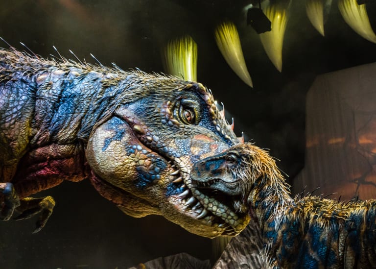 indoor stadium dinosaur