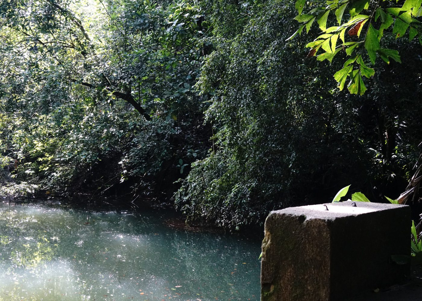 Keppel Hill Reservoir Our guide to this abandoned park