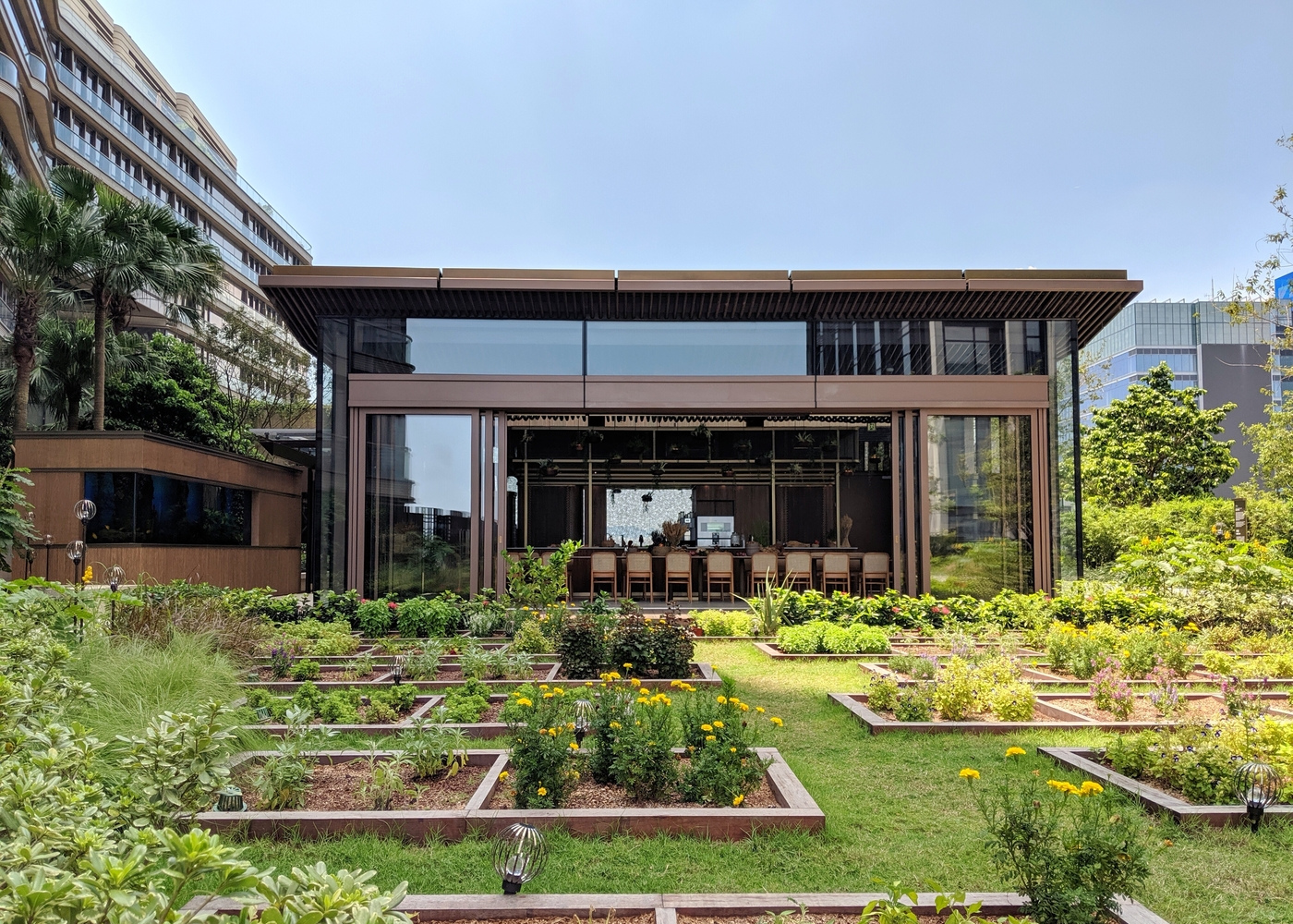 Nature Discovery Park | K11 MUSEA Hong Kong