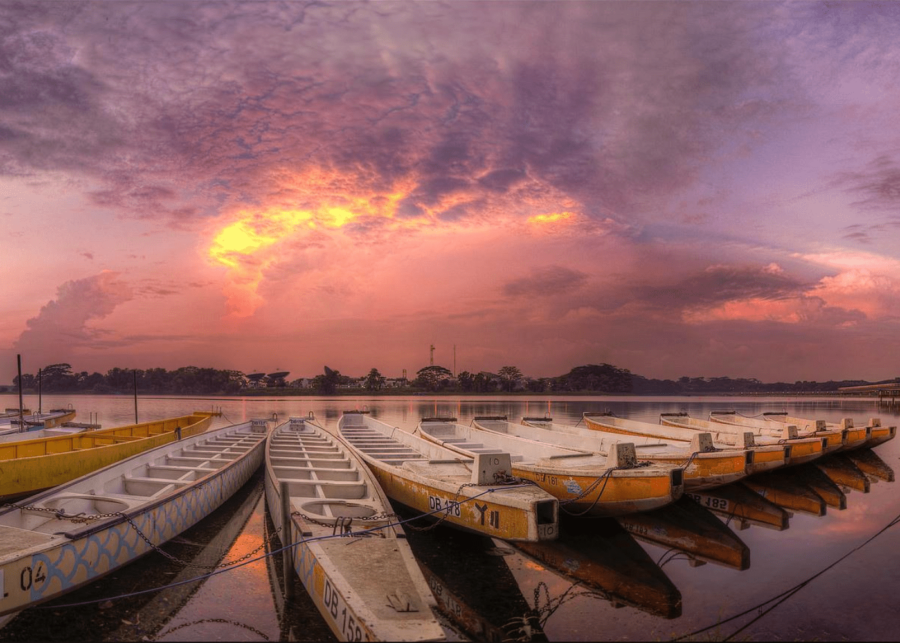 lower seletar reservoir | sunrise in singapore