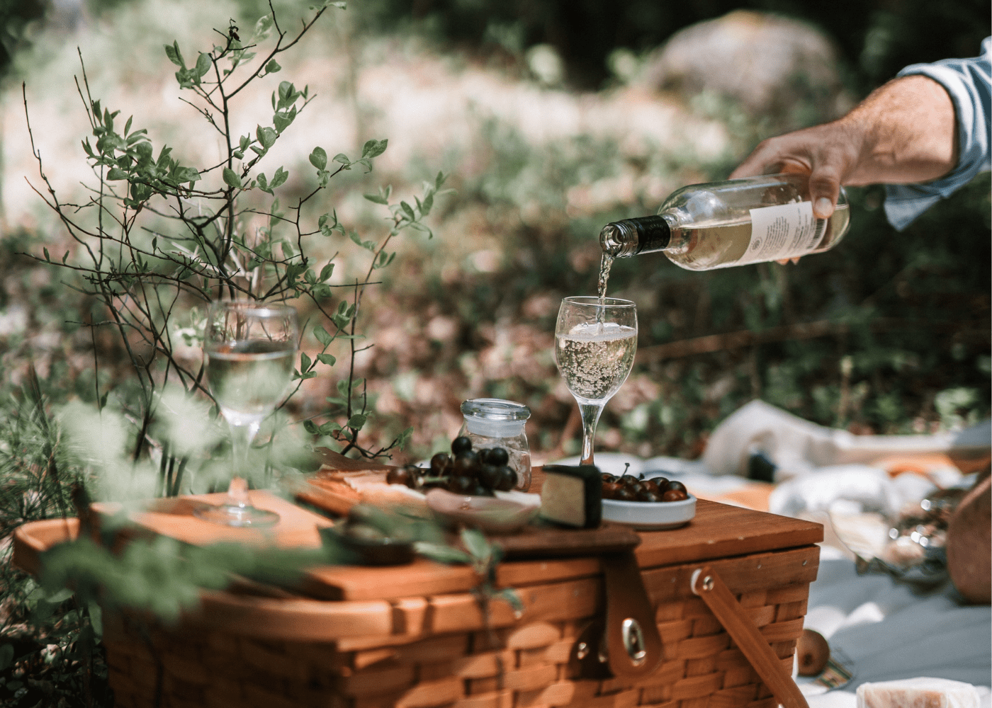 14 best shops for wine delivery in Singapore