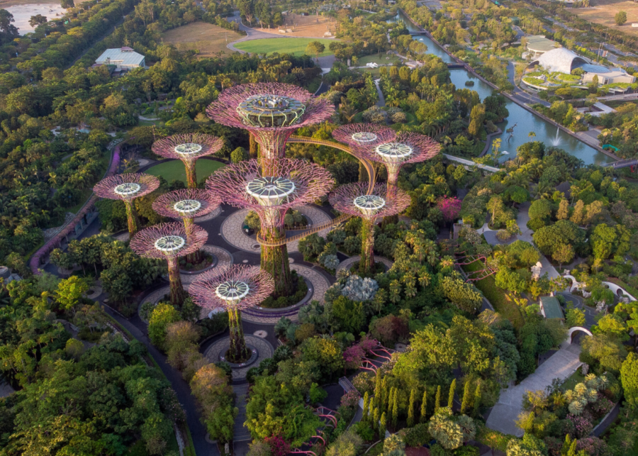 Your essential Singapore park guide for picnics, hikes and outdoorsy fun