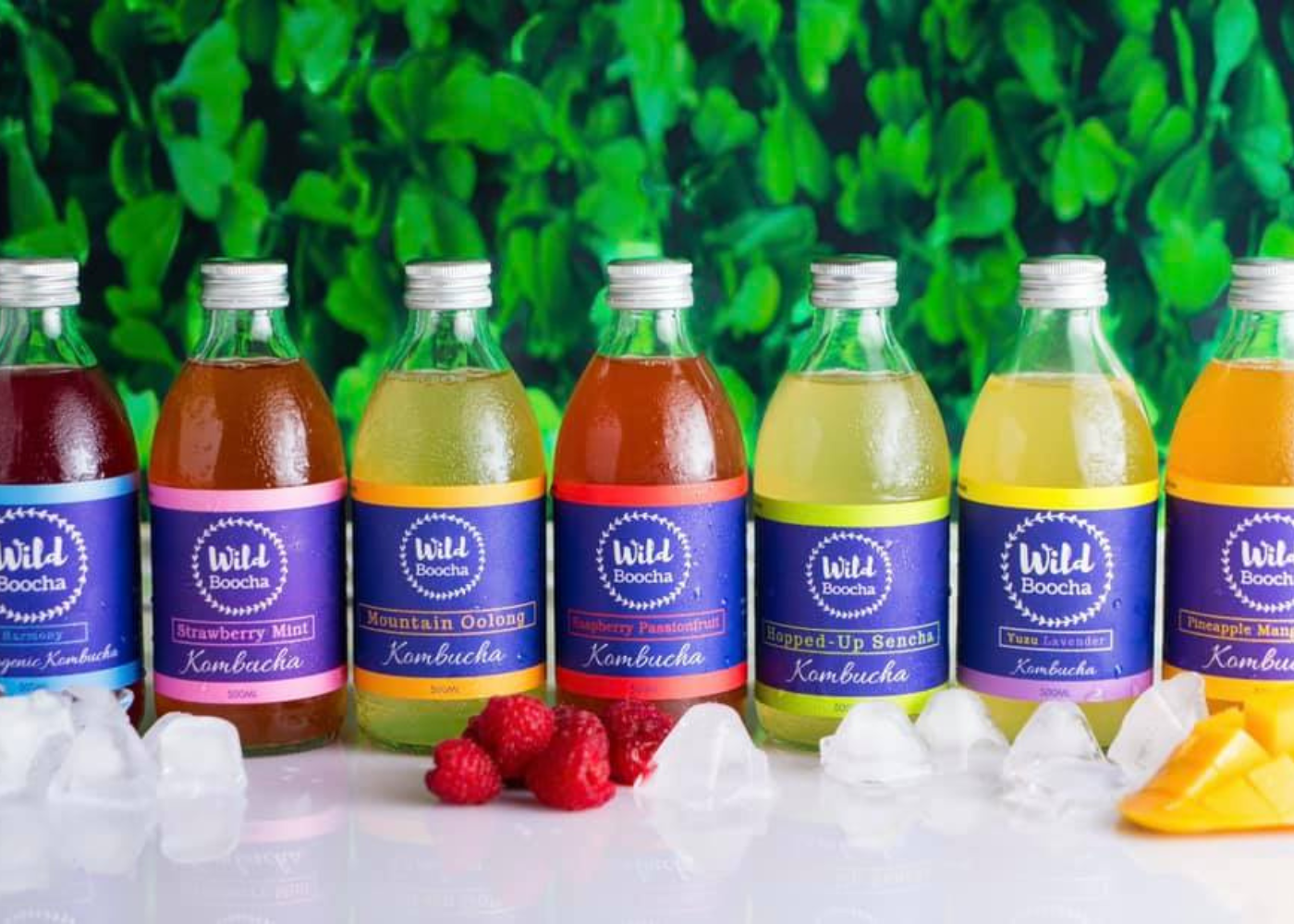 Where to buy kefir and kombucha in Singapore | Honeycombers