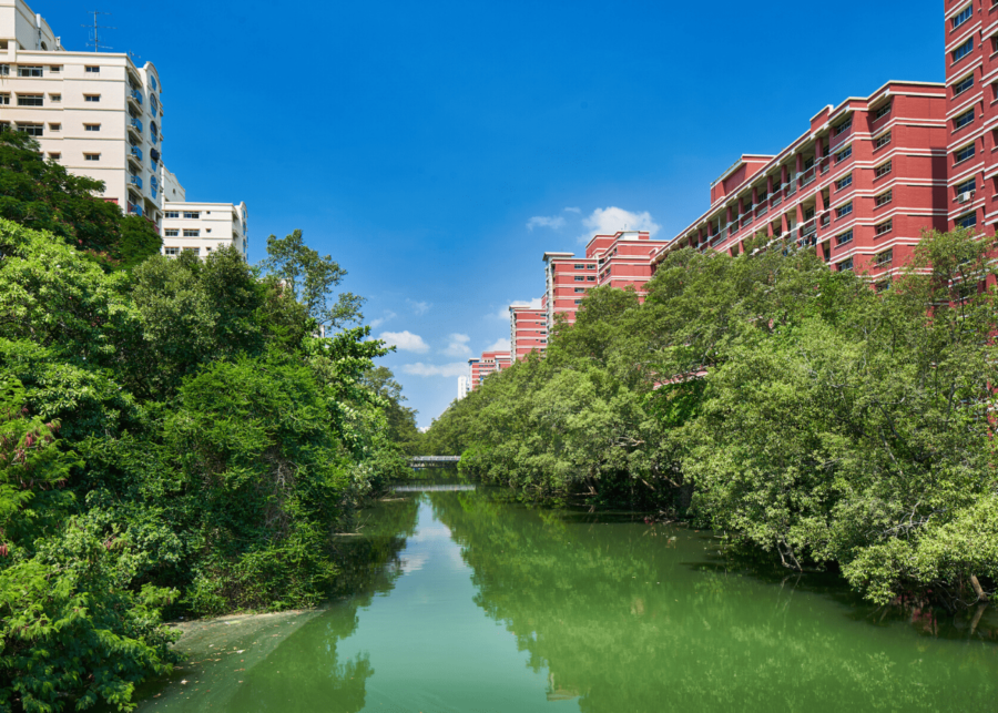 Pasir Ris HDB | free things to do in singapore