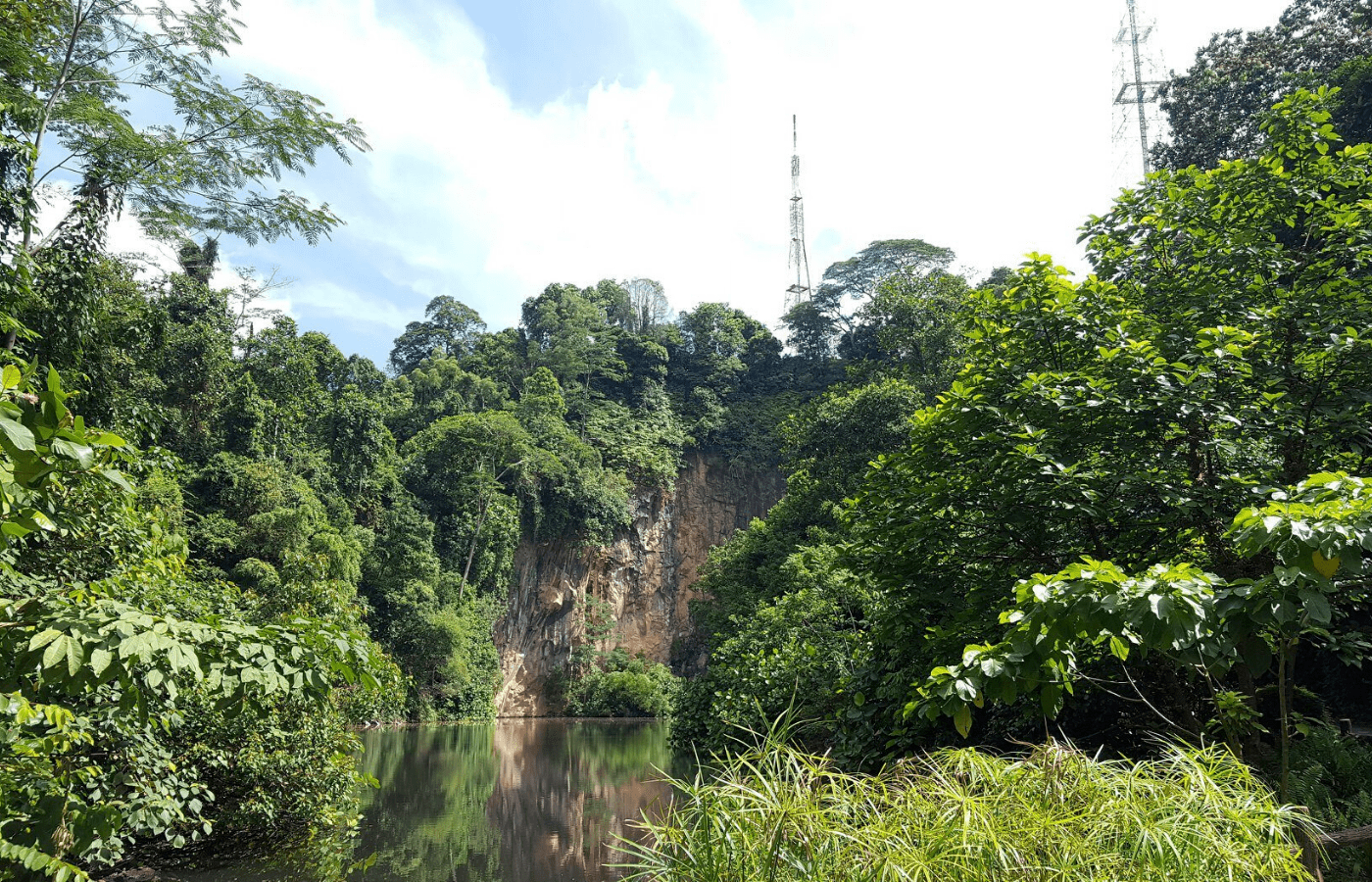 bukit batok nature park
