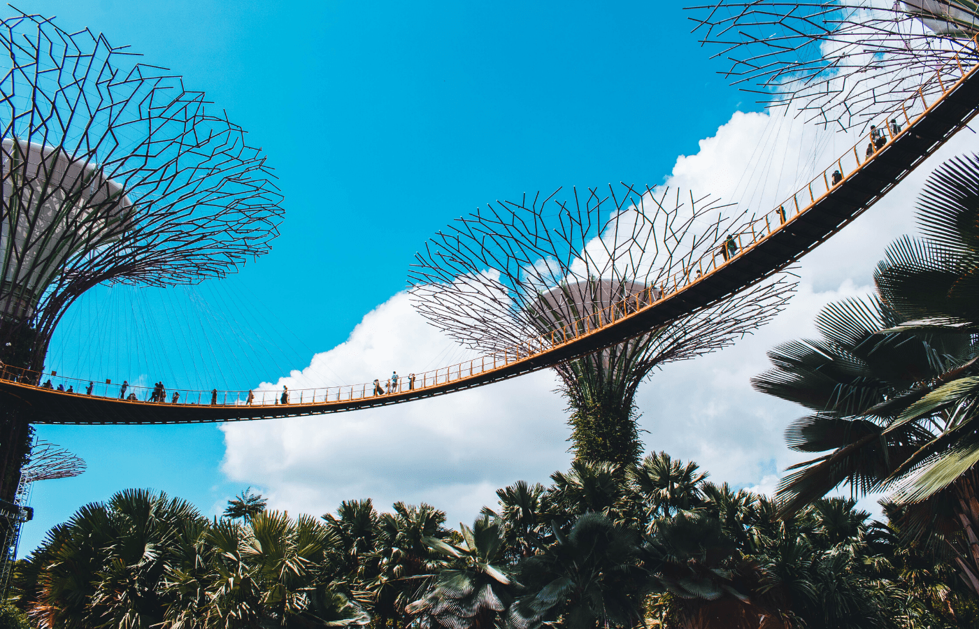 gardens by the bay skywalk