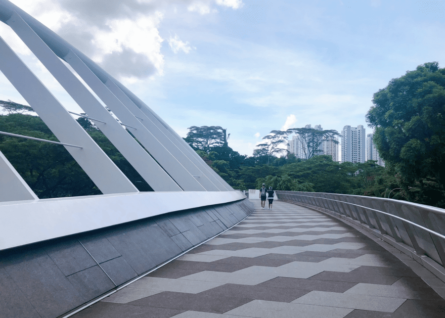 nature walks singapore | alexandra arch southern ridges