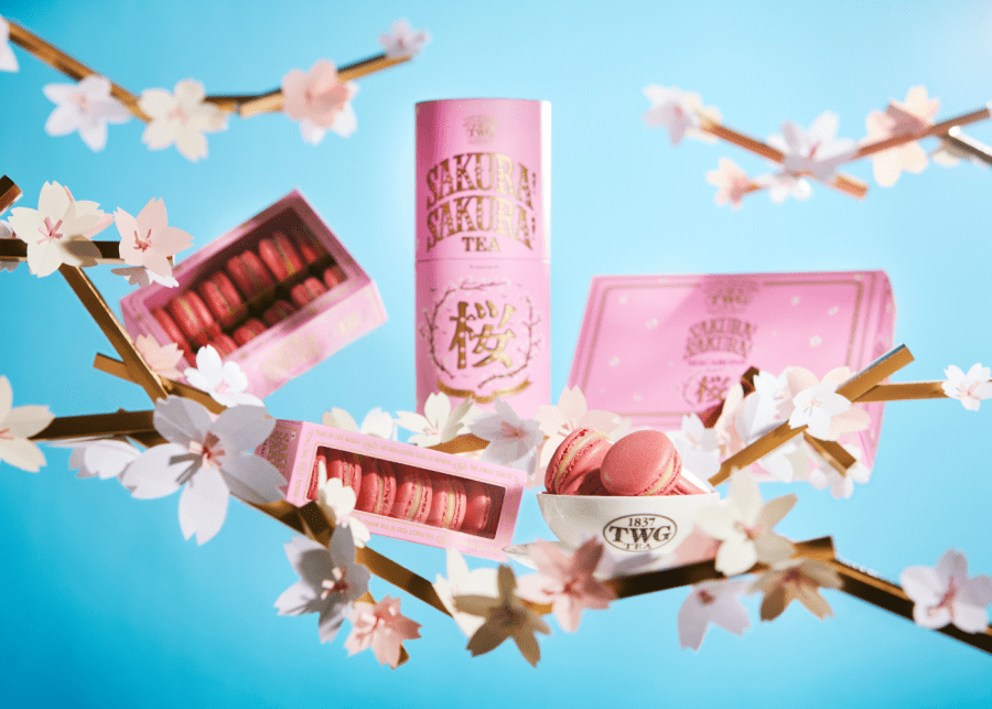 sakura cherry blossom menus 2024 - twg