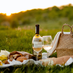 A picnic at the park