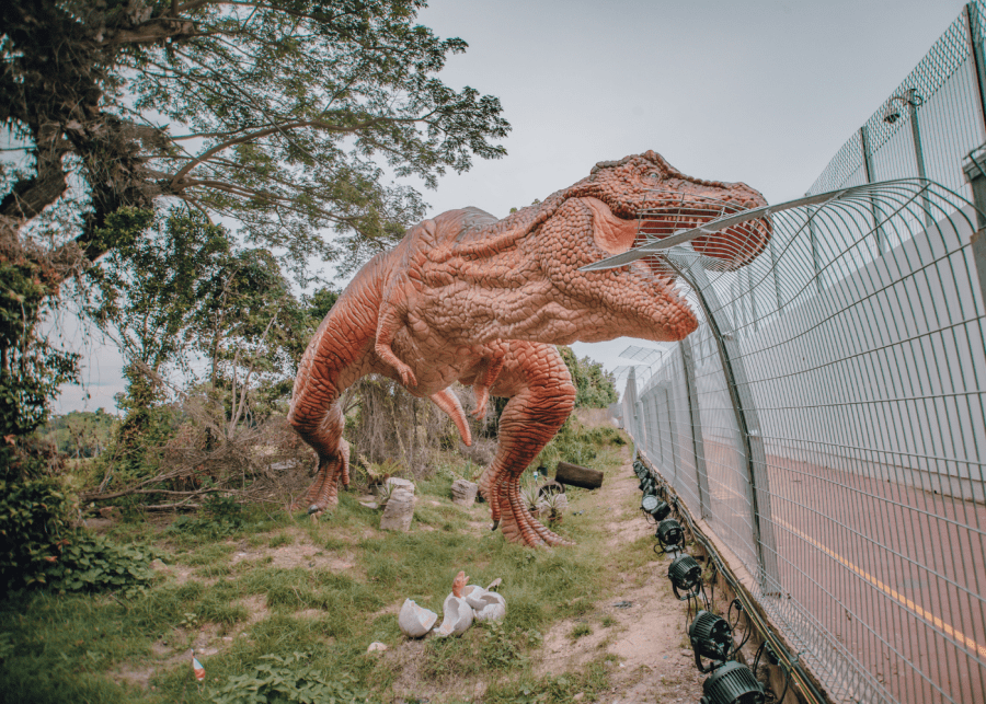 cycling routes singapore | changi airport connector dinosaur