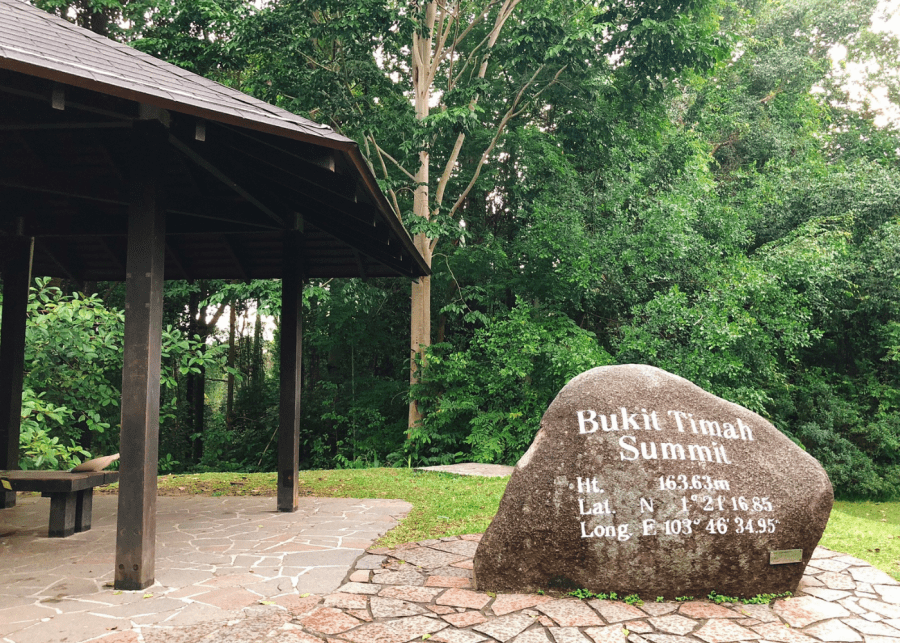 Hiking in Singapore: Bukit Timah hill