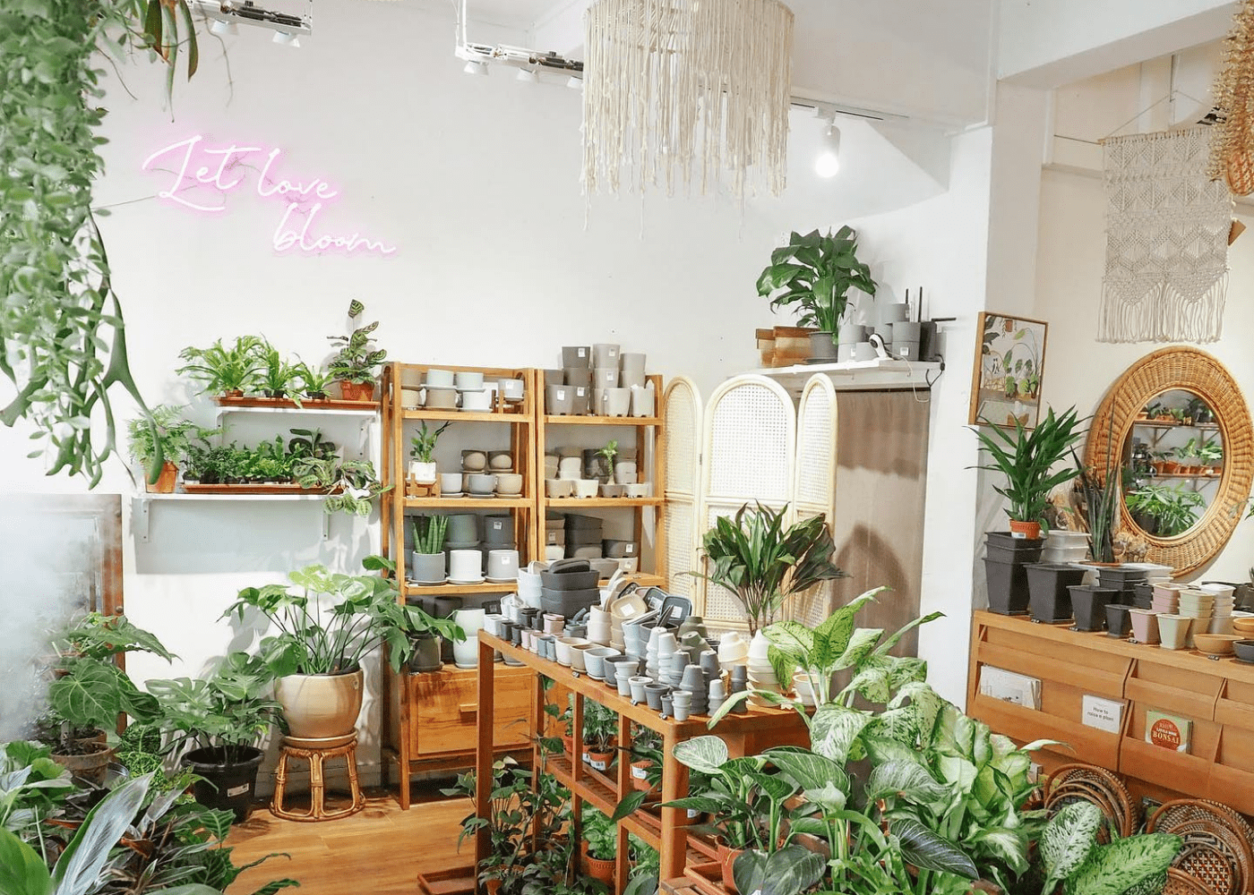 15 best plant nurseries and stores in Singapore