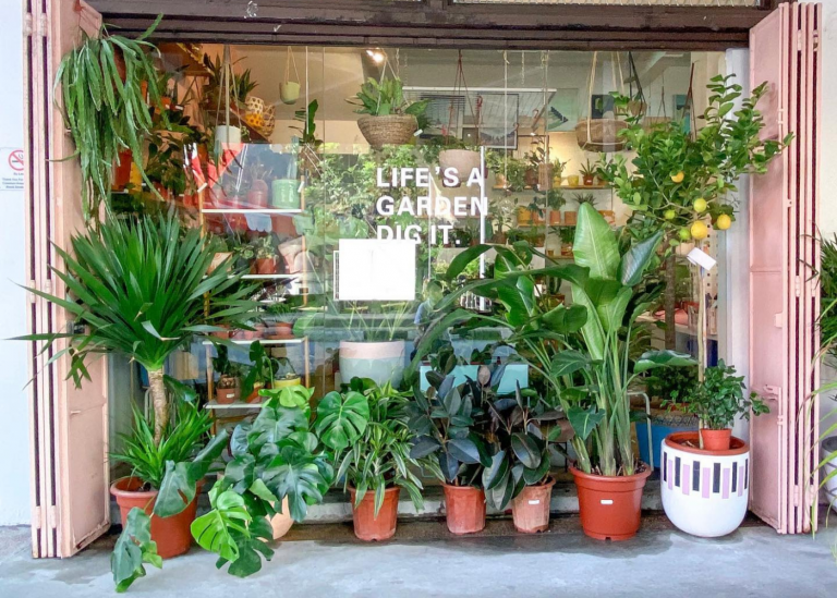 15 best plant nurseries and stores in Singapore