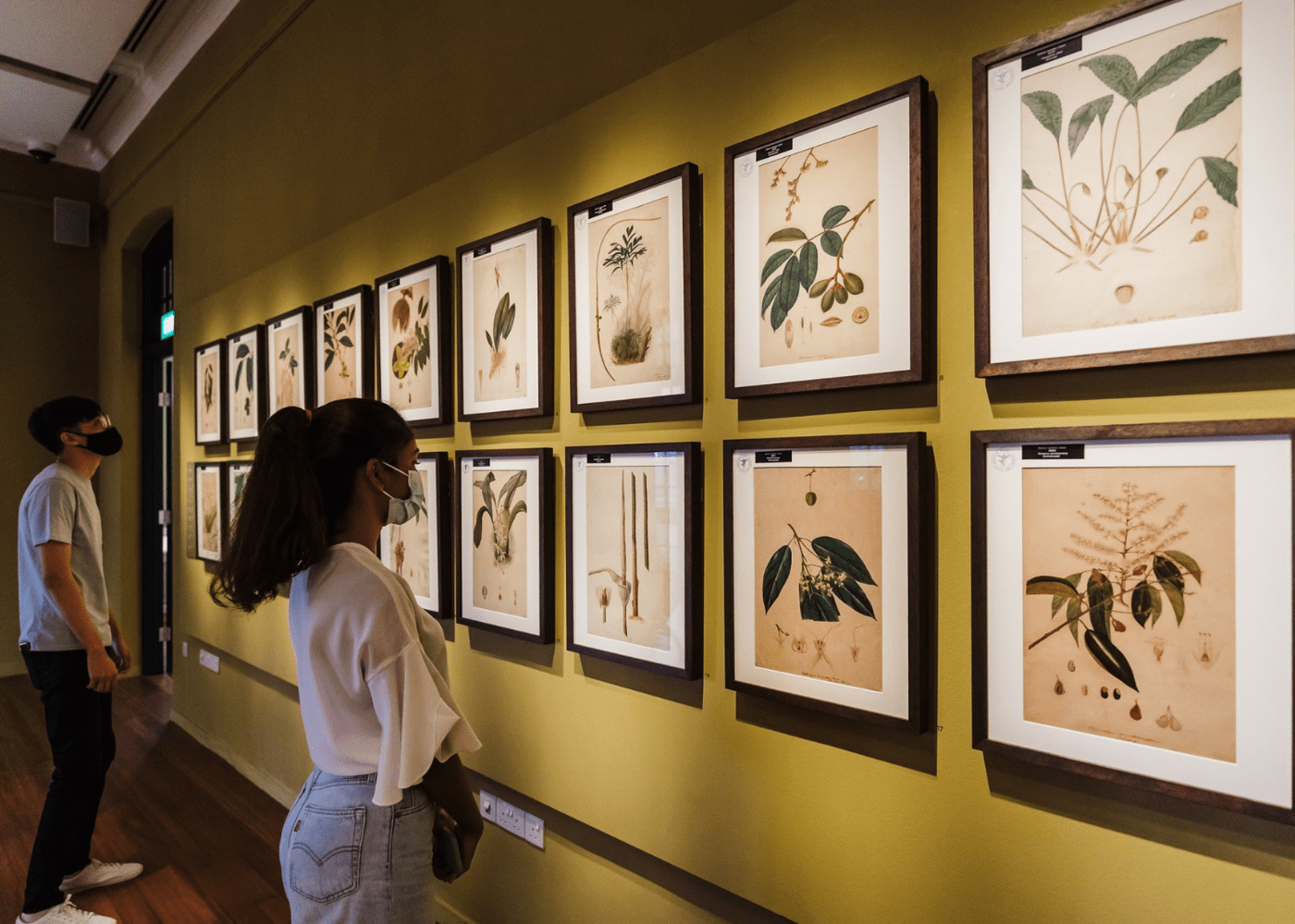 Our ultimate guide to Singapore Botanic Gardens