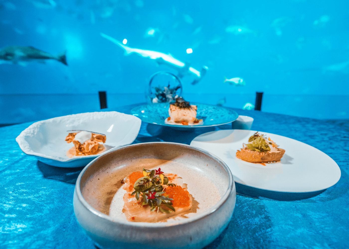 Ultimate Sentosa guide Best things to do and where to eat