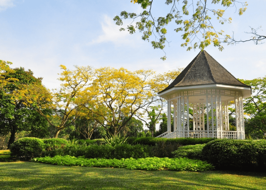 singapore-botanic-gardens | solo spots to explore in singapore