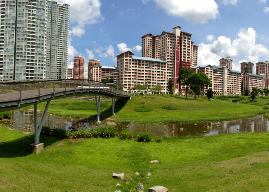 Dog runs in Singapore | Bishan-Ang Mo Kio Park