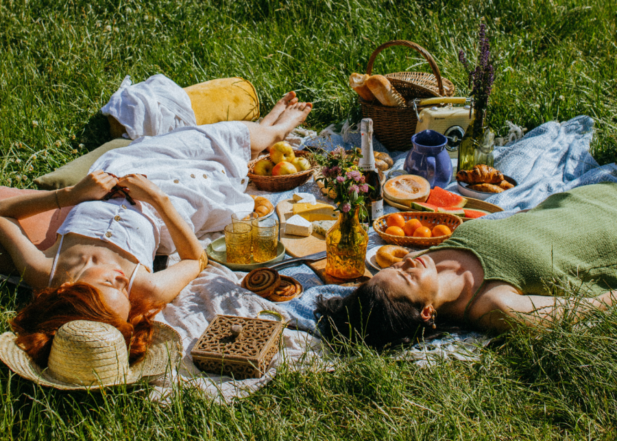 picnic in Singapore 1