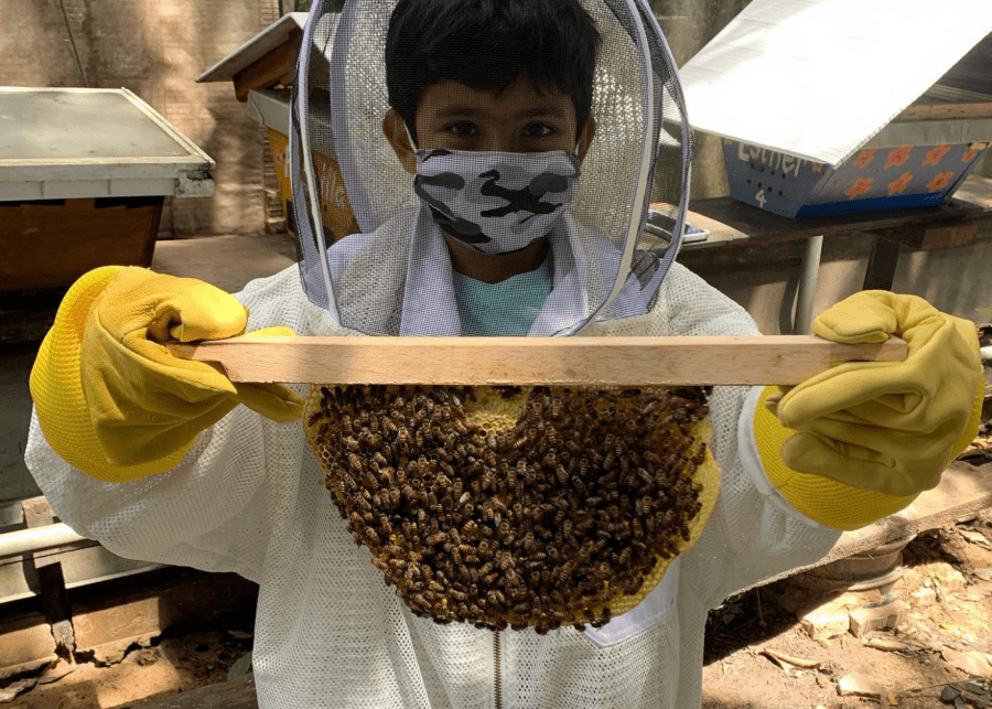 Bee amazed | farms in singapore