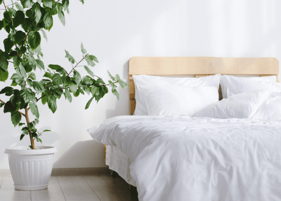All you need to know about bamboo sheets