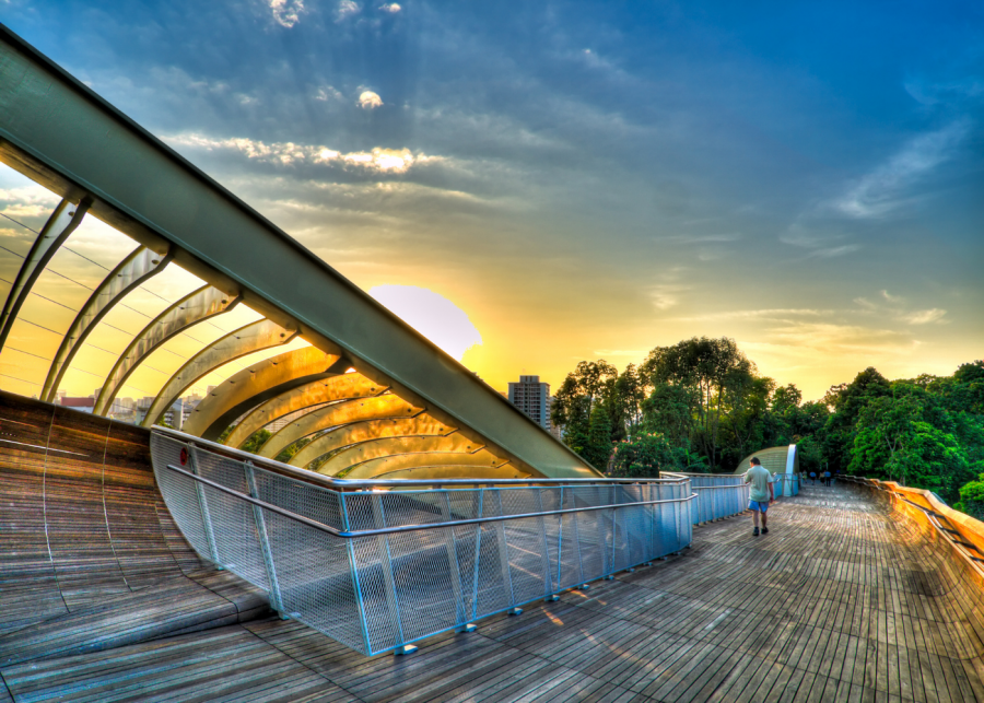 Strap on your hiking shoes and trek across Singapore at the best nature trails