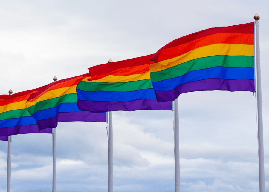 lgbtq terms pride flag | volunteer in singapore