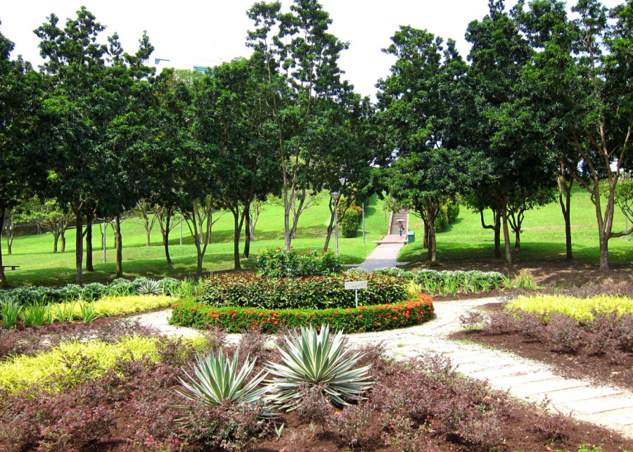 Dog runs in Singapore | Clementi Woods Park