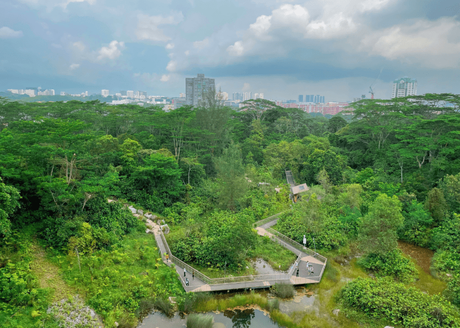 nature walks with a view singapore | rifle range nature park