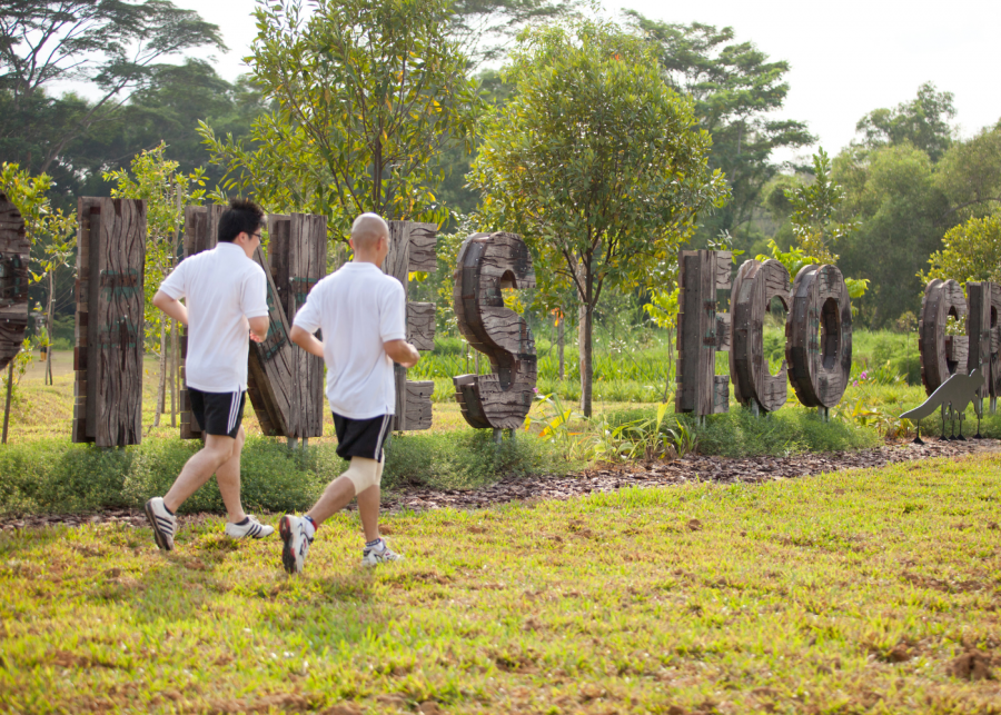 Tampines eco green | hidden parks singapore