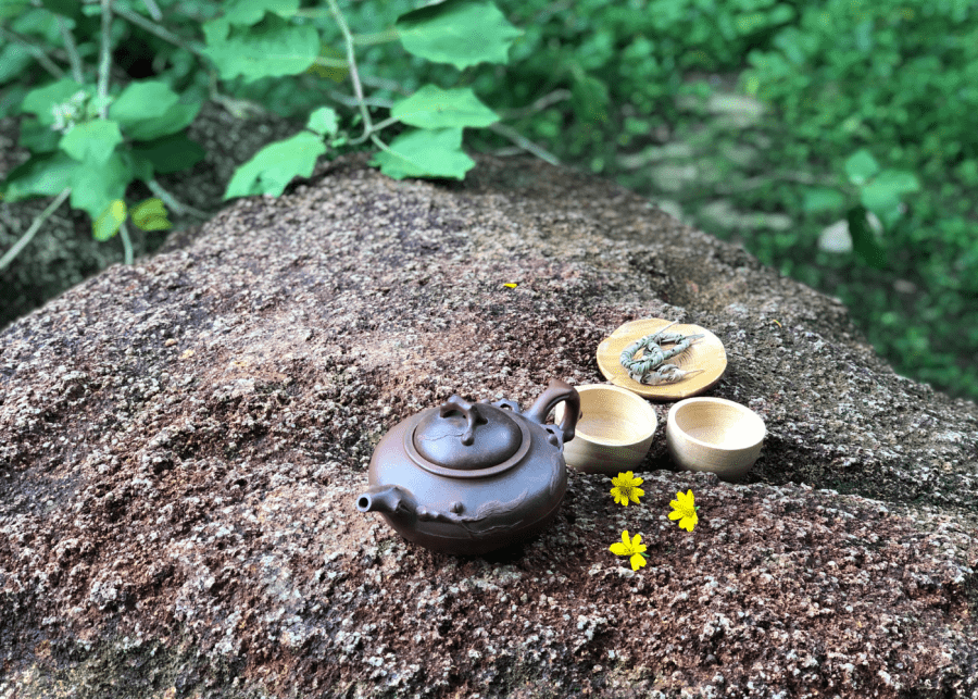 Forest bathing in Singapore | Tea ceremony 