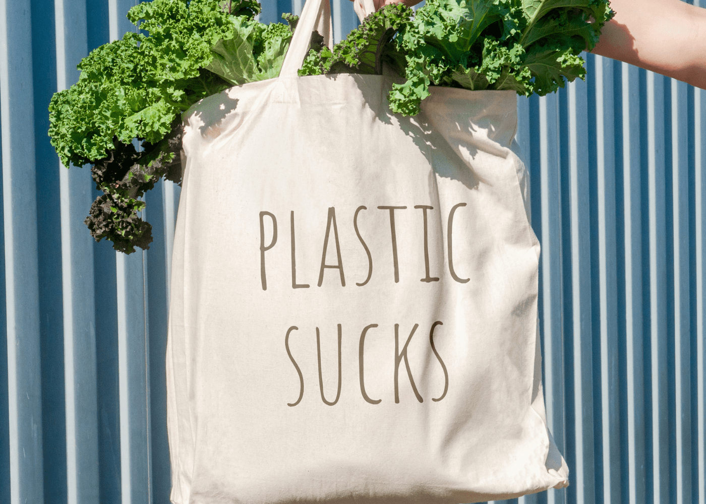 plastic-free-july-experience