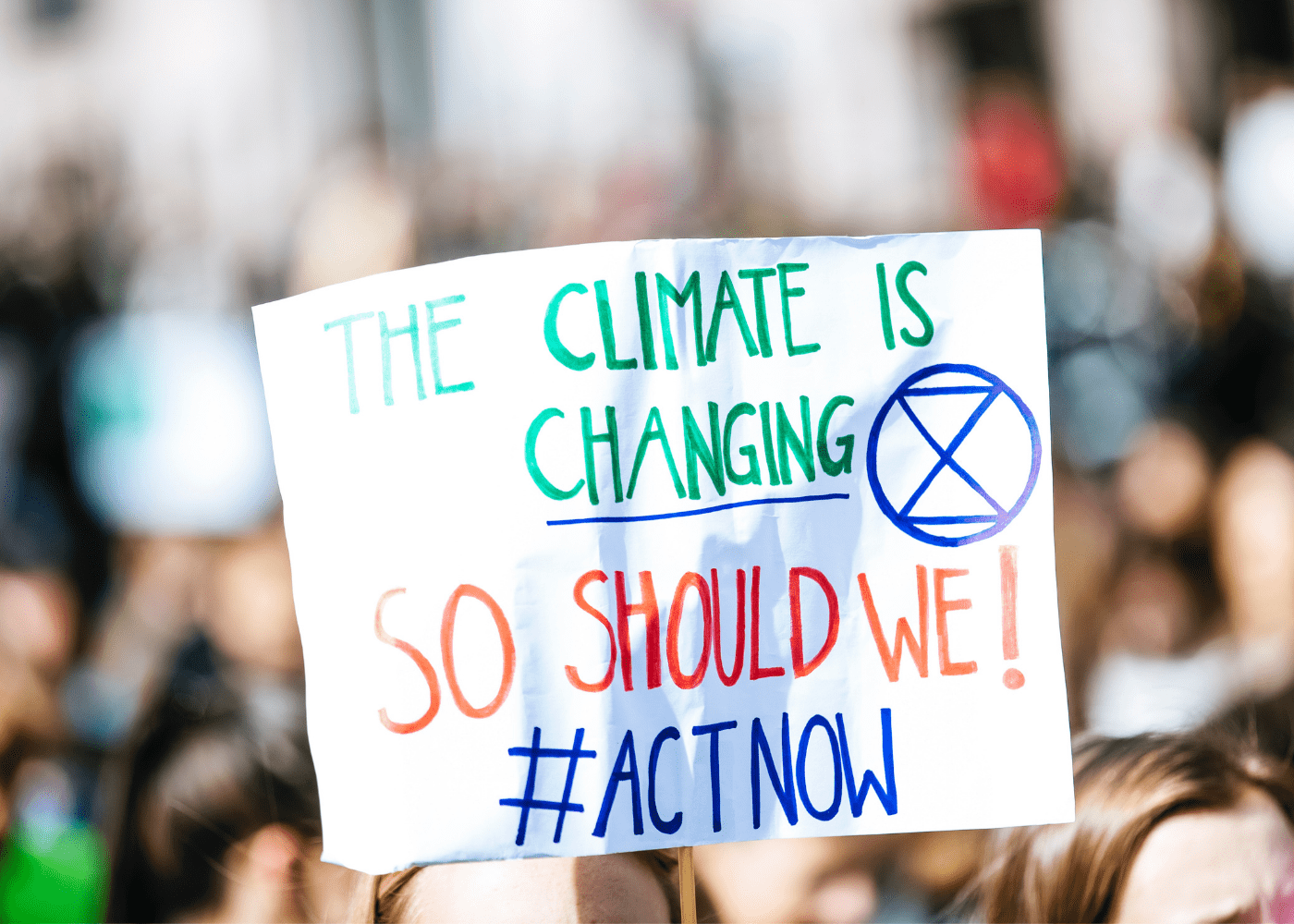 How can we save our planet from climate change? | Honeycombers