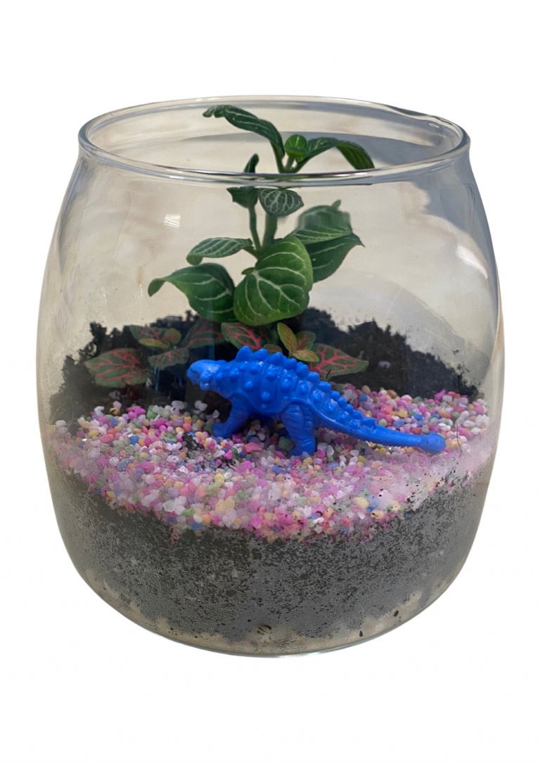 DIY Dinosaur Terrarium Singapore