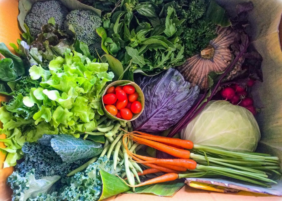 The Talula Hill Farm farm box