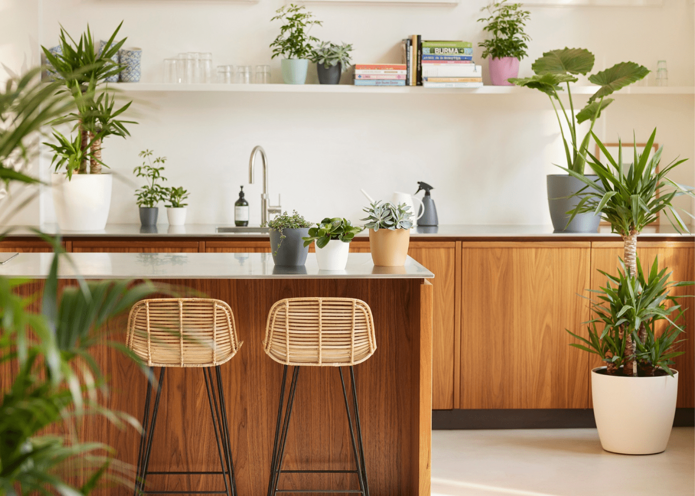 15 best plant nurseries and stores in Singapore