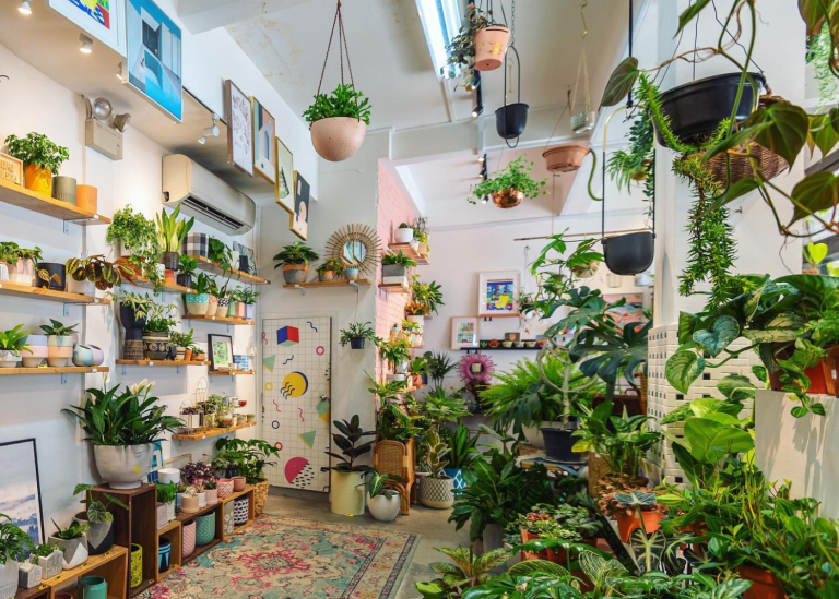 15 best plant nurseries and stores in Singapore