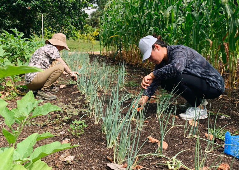 12 farms in Singapore for a countryside experience | Honeycombers
