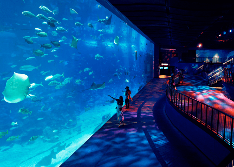Sentosa March deals: SEA Aquarium