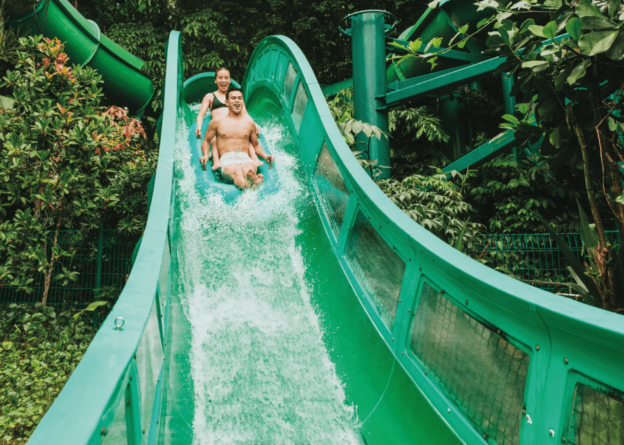 Photography: Adventure Cove