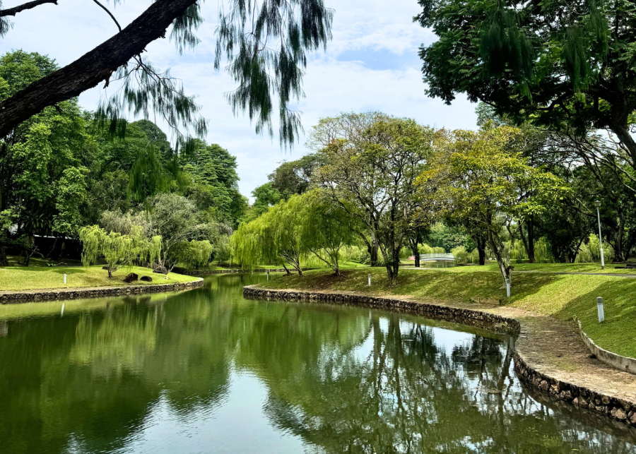 What’s good in Ang Mo Kio? Cool cafes, lush nature and fun things to do