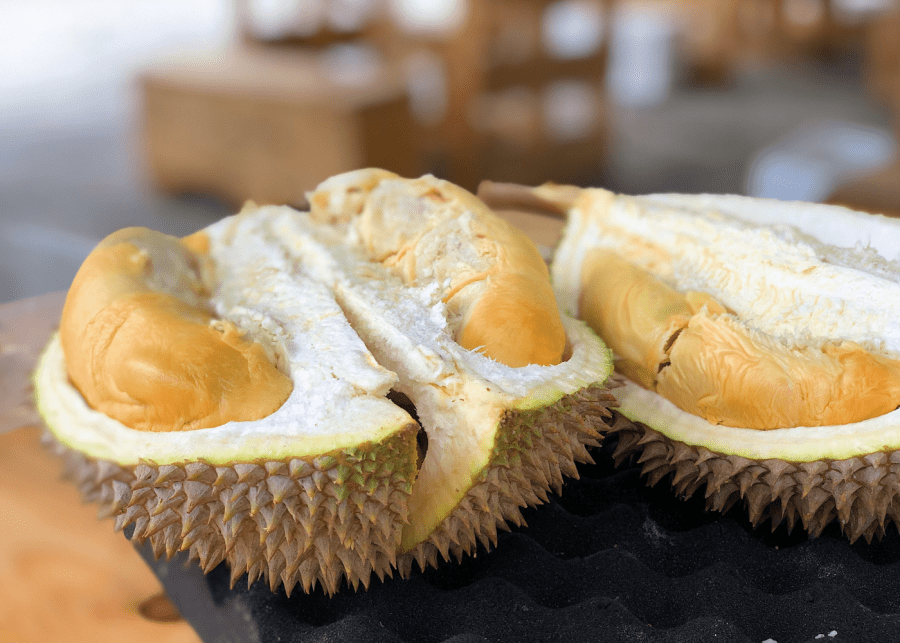 durian singapore | combat durian