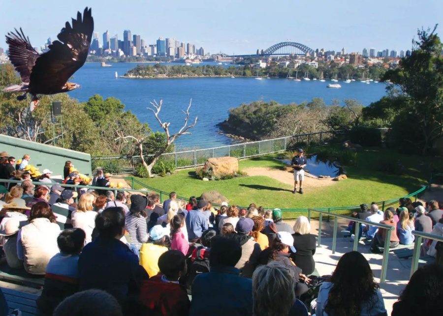 taronga zoo - traveloka sale