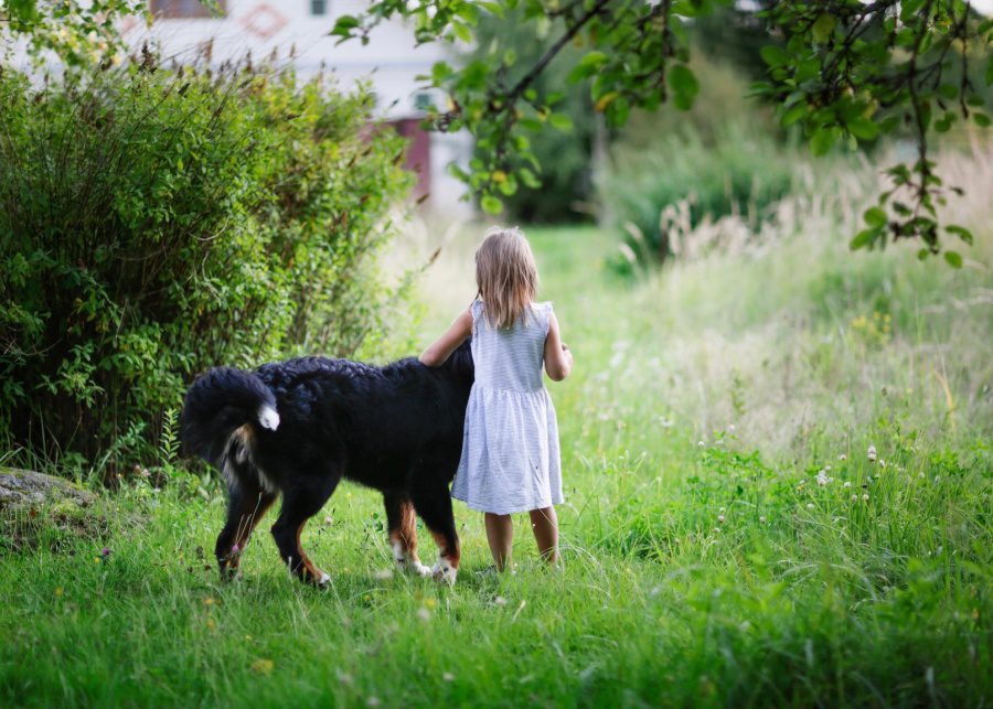 animal communicator in singapore kelly lightworker | discovering the gift