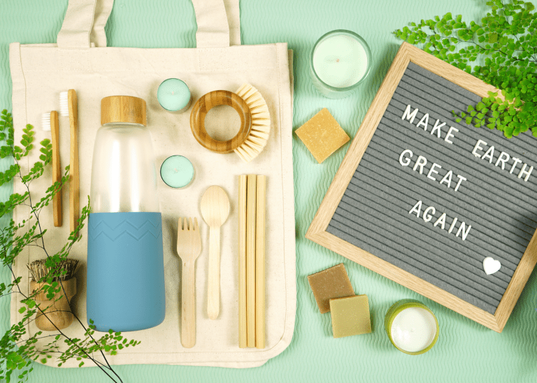 Sustainability in Singapore: 21 easy eco-friendly tips to live a green life