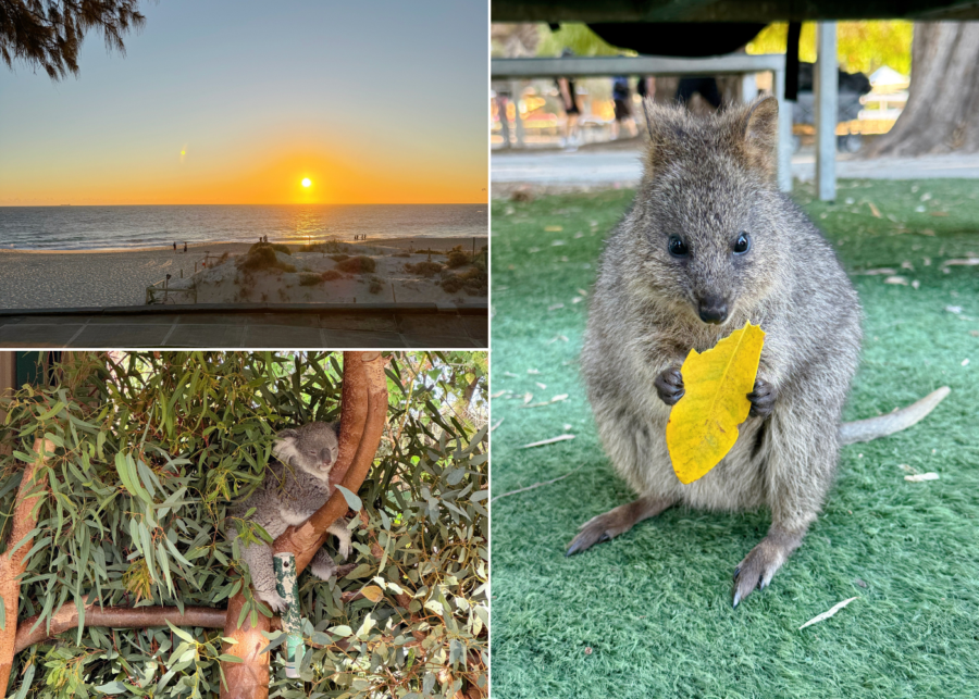 Things to do in Perth: The best attractions, wineries, and day trips for travellers from Singapore