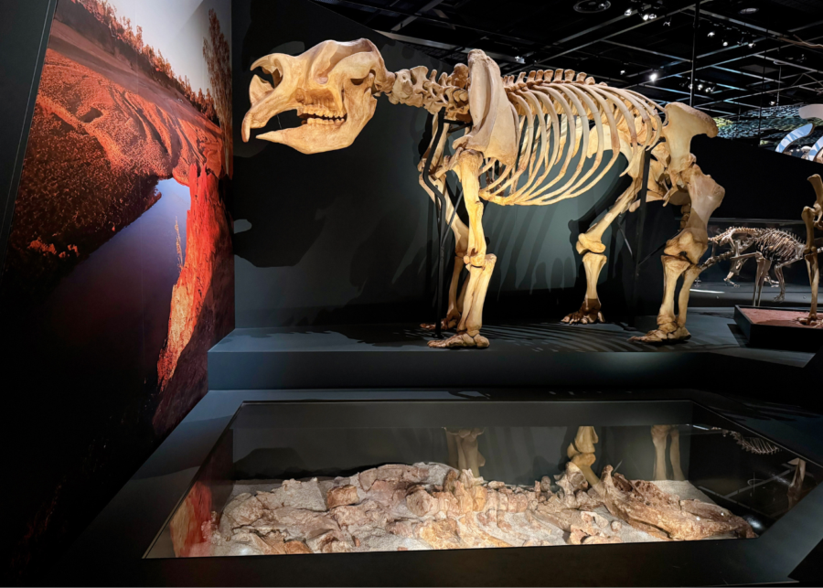 things to do in perth wa boola bardip museum