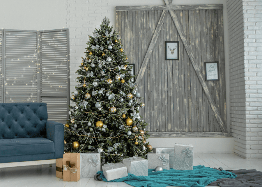 where to buy christmas trees singapore 2023 | tree against grey wall