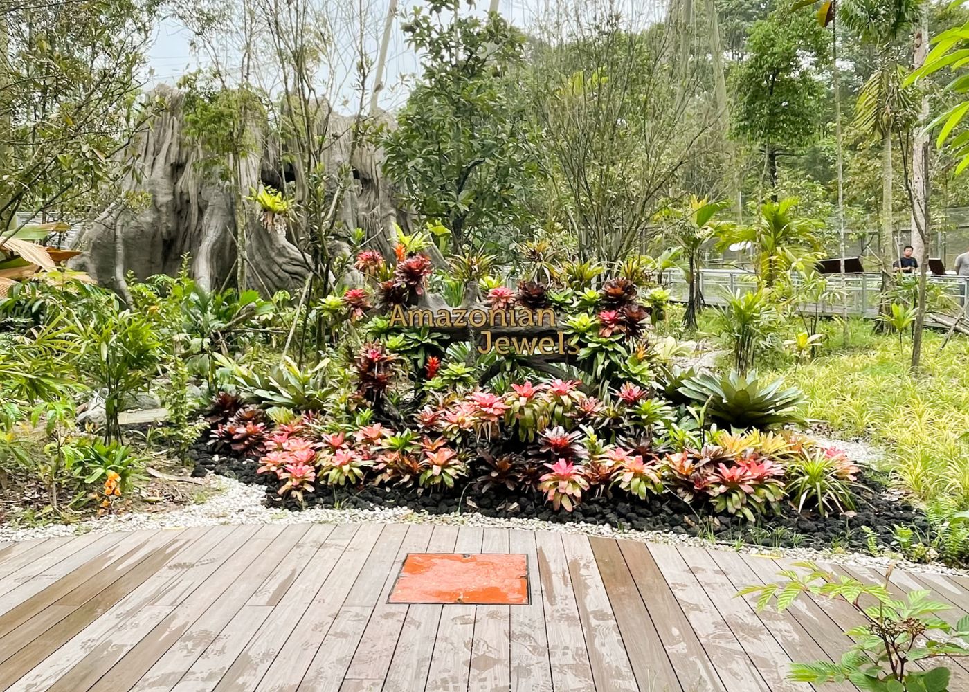 Best things to do at Bird Paradise Our mustread guide