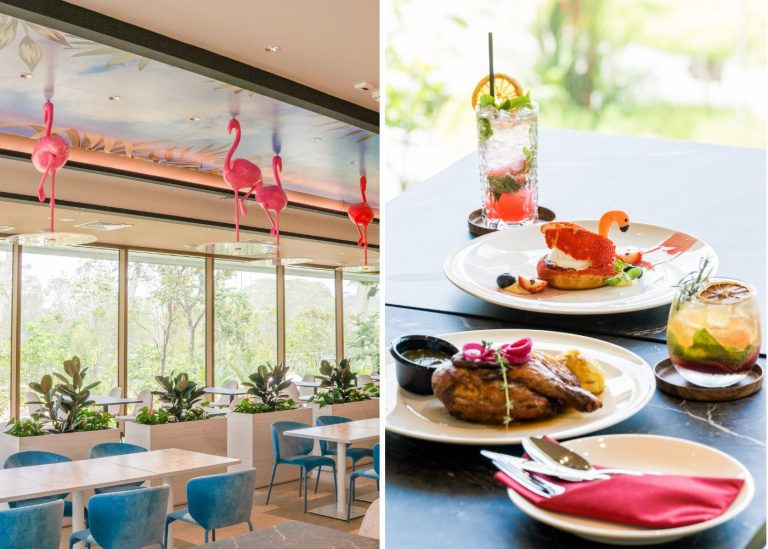 Best things to do at Bird Paradise: Our must-read guide | Honeycombers